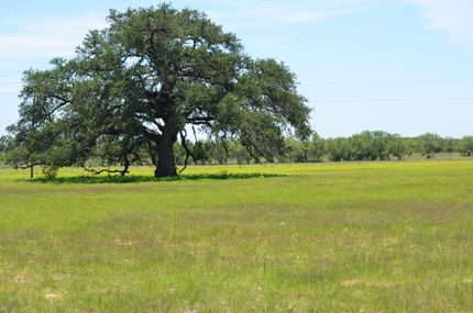Undeveloped Land for sale in Medina County, Texas