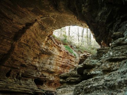 Farm and Ranch for sale in Wayne County, Tennessee