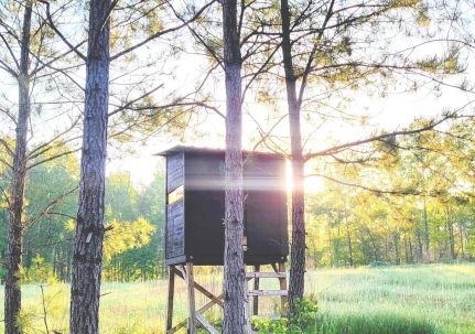Land for sale in Upson County, Georgia