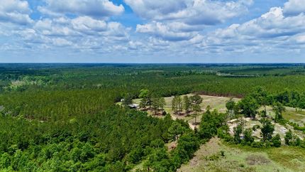 Land for sale in Telfair County, Georgia