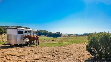 Farm and Ranch in Apache County, Arizona