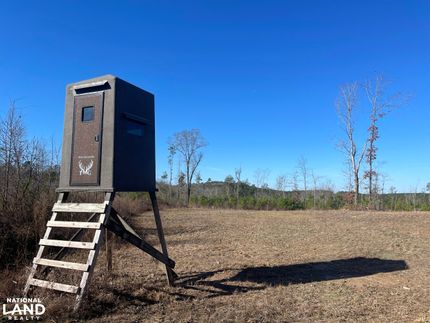 Oceanfront Property for sale in Walker County, Alabama