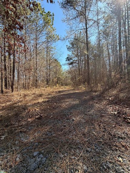 Farm and Ranch for sale in Choctaw County, Mississippi
