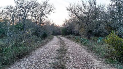 Land for sale in Bastrop County, Texas