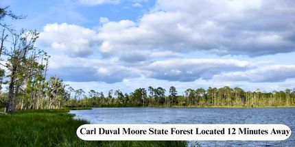 Lakefront Property for sale in Putnam County, Florida