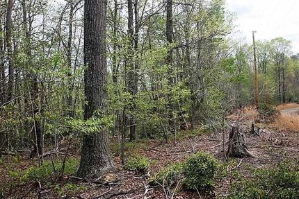Recreational Property for sale in Amherst County, Virginia