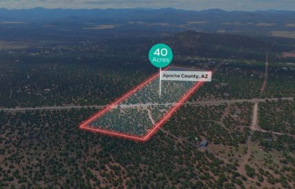 Undeveloped Land in Apache County, Arizona