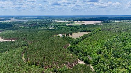 Recreational Property for sale in Telfair County, Georgia