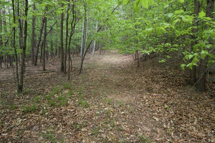 Land for sale in Henry County, Virginia