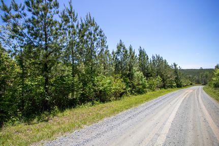 Timberland Property for sale in Pittsylvania County, Virginia