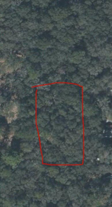 Farm and Ranch for sale in Levy County, Florida