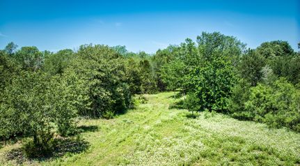 Farm and Ranch for sale in Bastrop County, Texas
