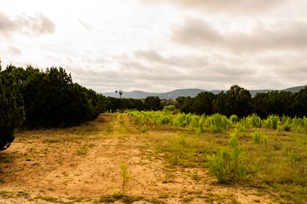 Land for sale in Bandera County, Texas