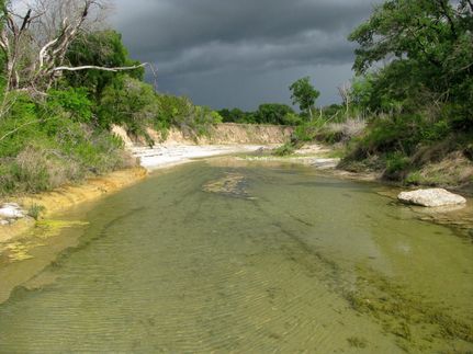 Land for sale in Hamilton County, Texas