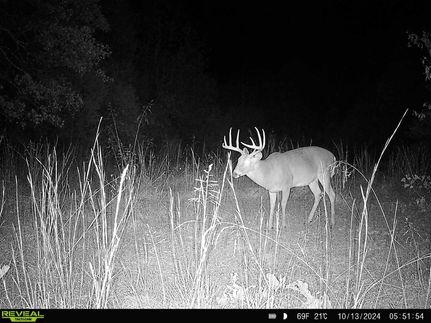 Land for sale in Independence County, Arkansas