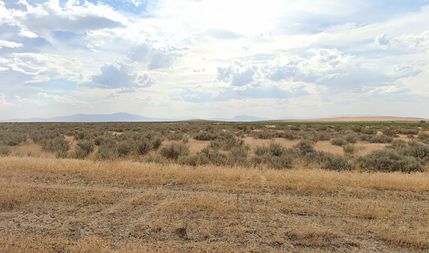 Farm and Ranch for sale in Humboldt County, Nevada