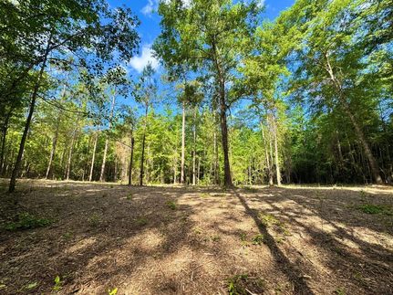 Land for sale in Macon County, Alabama