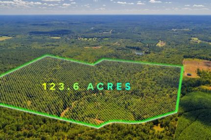 Land for sale in Monroe County, Georgia