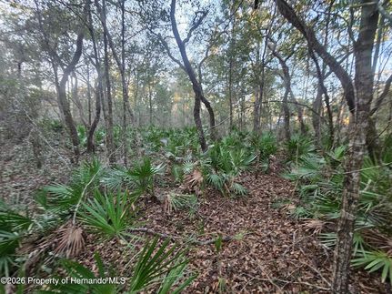 Farm and Ranch for sale in Hernando County, Florida