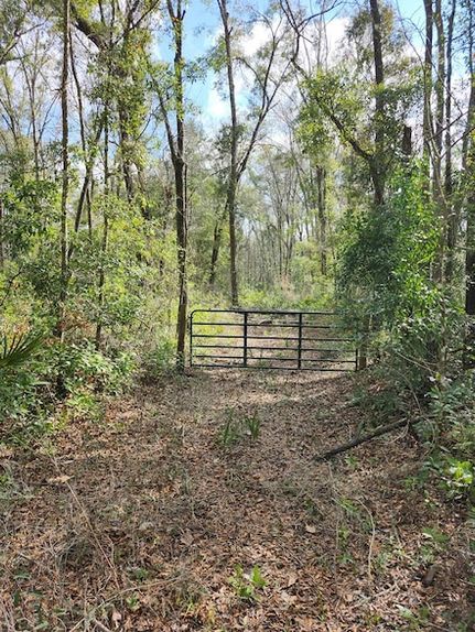 Farm and Ranch for sale in Dixie County, Florida