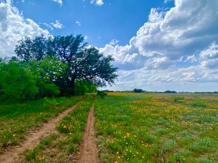 Undeveloped Land for sale in Coleman County, Texas