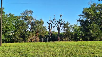 Timberland Property for sale in Washington County, Texas