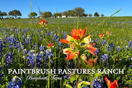 Timberland Property for sale in Washington County, Texas