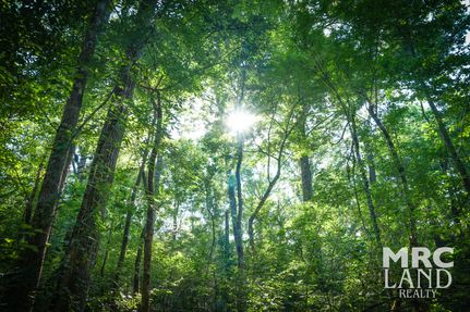 Land for sale in Tyler County, Texas