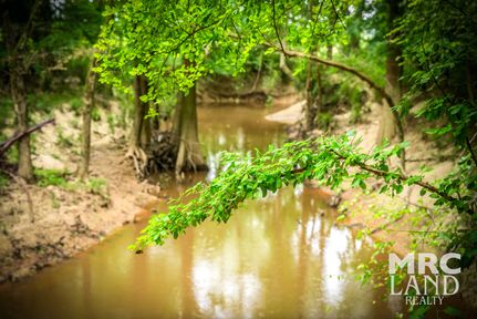 Land for sale in Sabine County, Texas