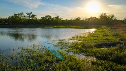 Land for sale in Atascosa County, Texas