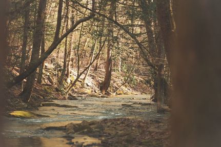 Land for sale in Hamilton County, Tennessee