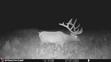 Hunting Property for sale in Broadwater County, Montana