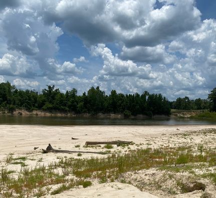 Commercial Property for sale in Beauregard Parish, Louisiana