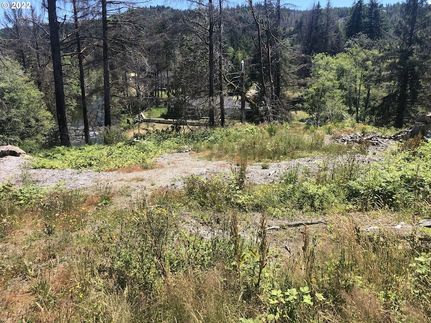 Timberland Property for sale in Lincoln County, Oregon