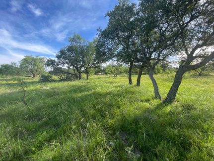 Land for sale in Schleicher County, Texas