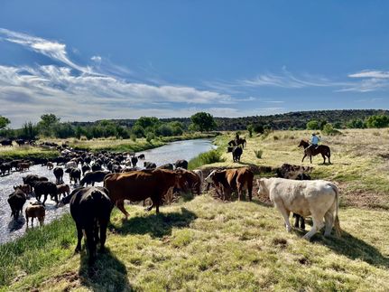 Waterfront Property for sale in Guadalupe County, New Mexico
