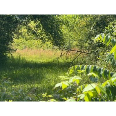 Farm and Ranch for sale in Madison County, Alabama