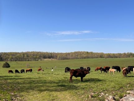 Land for sale in Fulton County, Arkansas