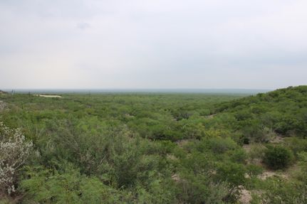 Land for sale in Duval County, Texas