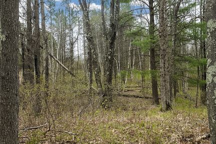 Farm and Ranch for sale in Washburn County, Wisconsin