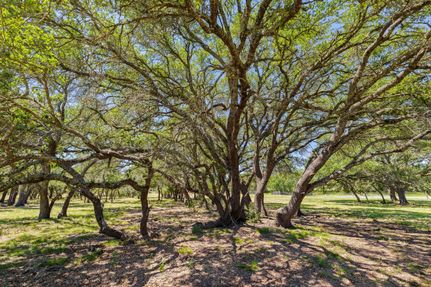 Undeveloped Land for sale in Blanco County, Texas