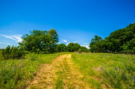 Timberland Property for sale in Guadalupe County, Texas