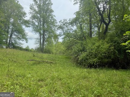 Farm and Ranch for sale in Rabun County, Georgia