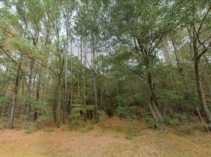 Land for sale in Pender County, North Carolina