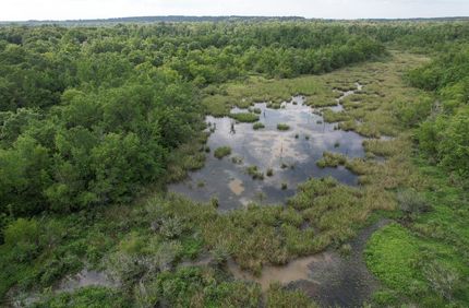 Farm and Ranch for sale in Upshur County, Texas