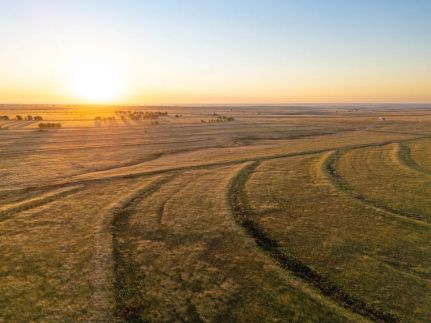 Timberland Property for sale in Beaver County, Oklahoma