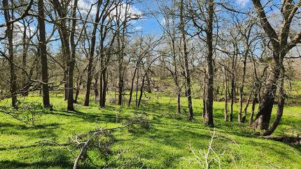 Timberland Property for sale in Waller County, Texas