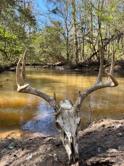 Farm and Ranch for sale in Crawford County, Georgia