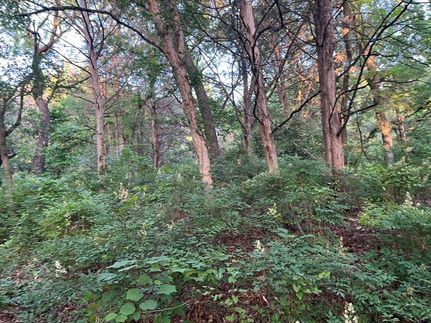Recreational Property for sale in Dallas County, Texas