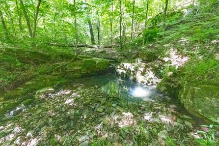 Farm and Ranch for sale in Pope County, Illinois